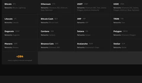 RANDHOST: USDT and USDC networks